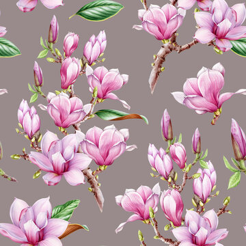 Magnolia flowers seamless pattern decor. Watercolor illustration. Hand painted vintage style spring tender blossoms. Magnolia pink flowers spring season seamless pattern decoration
