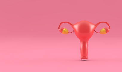 Female reproductive system isolated on pink background. Female uterus in good condition. 3D. Female reproductive health concept.