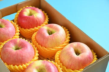 beautiful pink apple in the box on blue background - 788900899