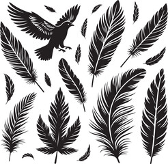 Birds feather silhouette vector illustration