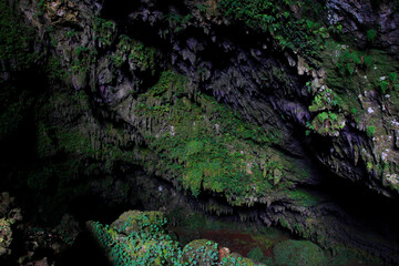 A view of ornamentation covered with green moss at mouth of Karst Gunungsewu cave. Called the...