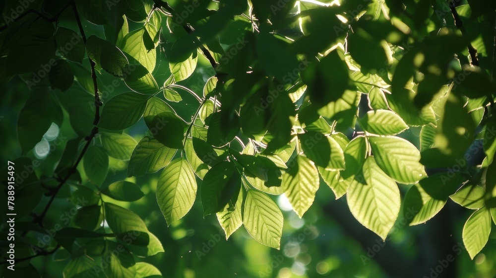 Poster the sunlight filters through the leaves of a tree casting dappled shadows on the skin resembling a b