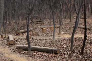 wooden seats in the middle of dry forest