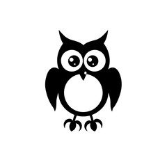 Fototapeta premium Baby Owl
