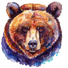 Watercolor realistic bear face on a white background. Print for postcard, mug, baseball cap, notepad, notebook