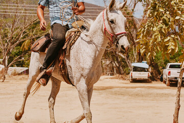 Hombre latino montando un caballo  - obrazy, fototapety, plakaty