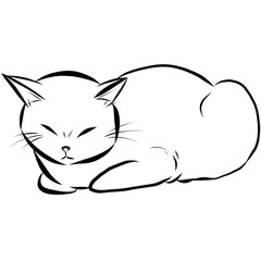 식빵굽는 고양이(검정&흰고양이)