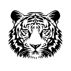 Tiger head sketch