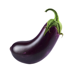 Eggplant or aubergine isolated on white background