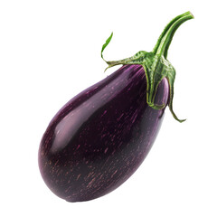 Eggplant or aubergine isolated on white background