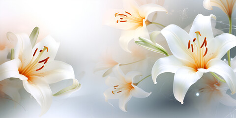 White lilies in the rain peaceful ambiance inspirational photography background
