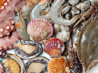 Raw octopus and various seafood	