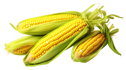 A few yellow corn cobs with green leaves, against a white background