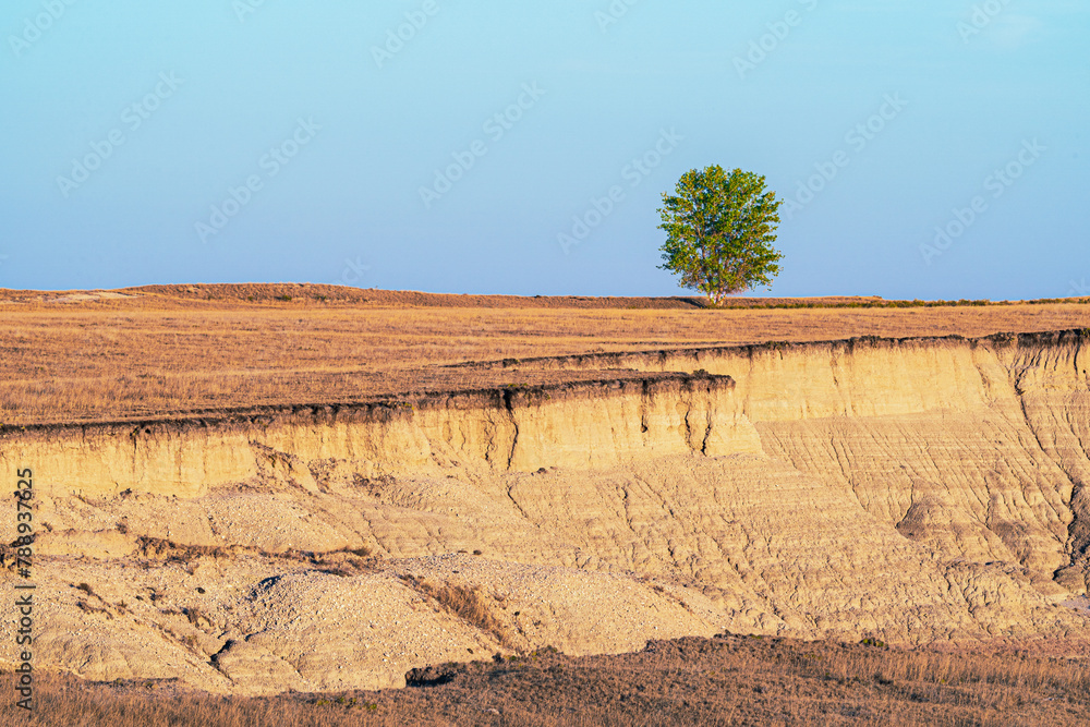 Poster badlands tree