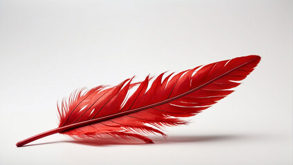 A red feather laying on a white surface.

 - obrazy, fototapety, plakaty