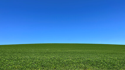 Green field blue sky