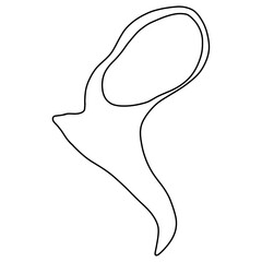 Malleus is a small ear bone shaped like a hammer.