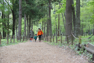 Obraz premium ハイキングする親子 緑の中登山やトレッキングする家族 夏のレジャーやアウトドアのお出かけのイメージ