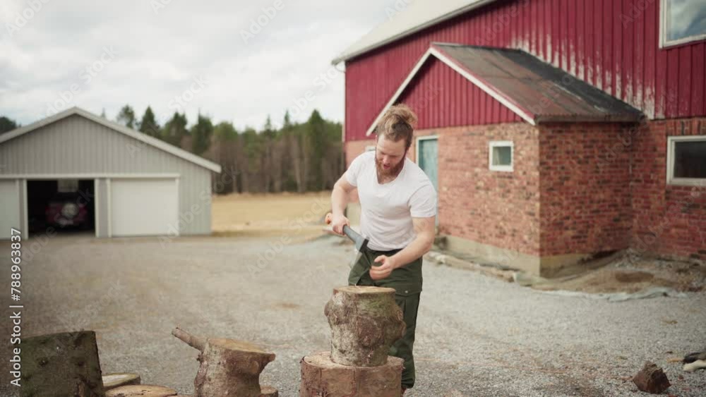 Poster adult man with a beard cutting huge log using sharp axe. static shot
