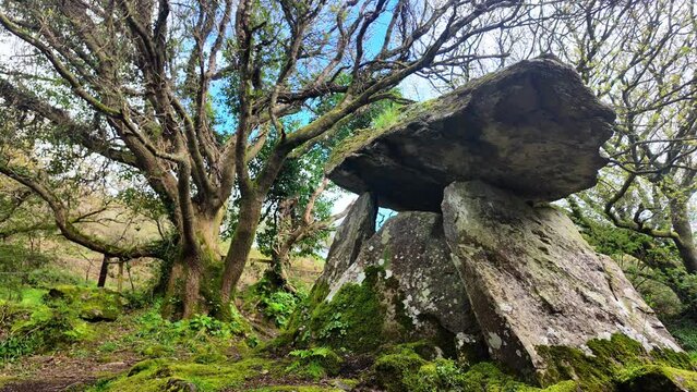 Timeless places ancient structure dolmen and burial rituals in ancient times Gaulstown Dolmen Waterford Ireland old monument and thin place in time