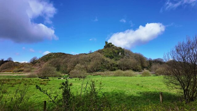 Rural scene in Ireland ruins of Dunhill Castle on hill cows enjoying the spring sunshine and puffy white clouds scurrying over in Waterford