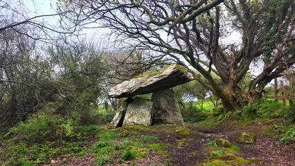 Timelapse thin places in Ireland Gaulstown Dolmen on a windy day trees branches shimmering in this mystical landscape of Waterford Ireland