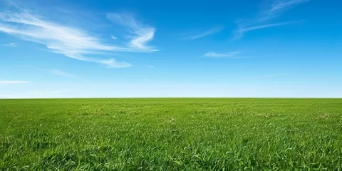 Fotobehang 壮大な芝生と青空の背景素材06 © yukinoshirokuma