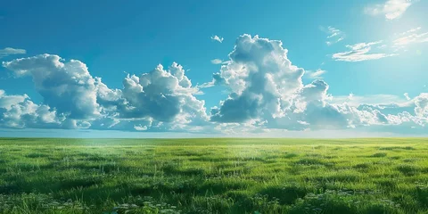 Fotobehang 壮大な芝生と青空の背景素材03 © yukinoshirokuma