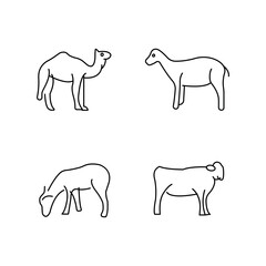 beef camel beef beef lamb. Eid al-Adha halal meat or meat slaughter production design icons for graphics, logo, website, social media, UI, mobile apps, EPS10