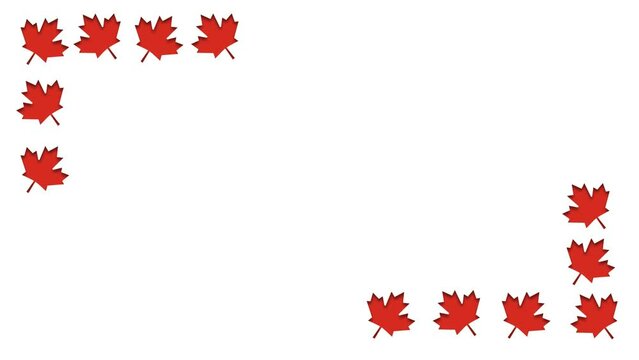 canada Day animated background illustration with red maple leaf animation