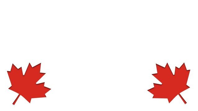 canada Day animated background illustration with red maple leaf animation and copy space