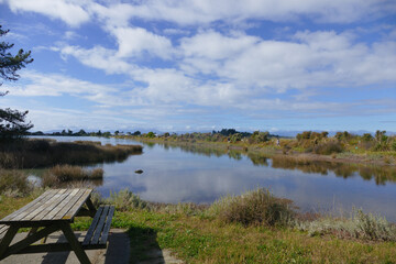 Fototapeta premium Picnic table by water sunny day New Zealand