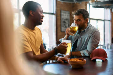 Young man drinking beer with his black friend in pub.