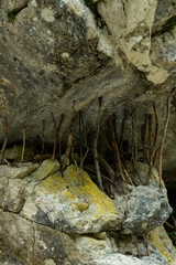 A large rock is supported by many small sticks. Resilience, knowing how to face problems, the group...