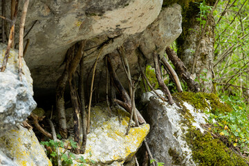 A large rock is supported by many small sticks. Resilience, knowing how to face problems, the group...