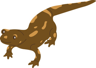 Salamander