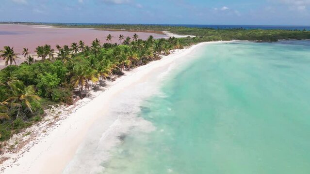Drone shot of a pink lake and ocean with palm trees on beach.