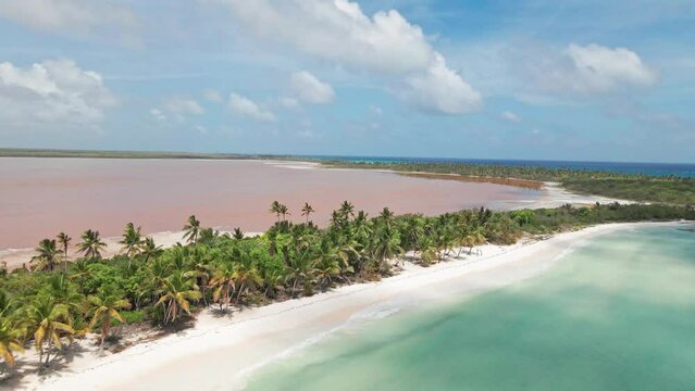 Backward drone shot of a pink lake and a beach with palm trees in  Dominican Saona island.