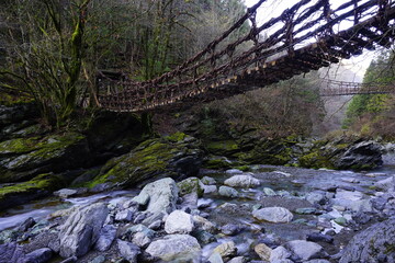 徳島県、二重蔓橋