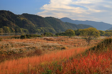 四国、清流四万十川の秋景