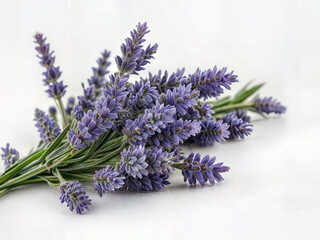 Fototapeta premium A bouquet of purple lavender flowers against a white backdrop
