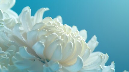 Chrysanthemum and marine decor closeup : Generative AI