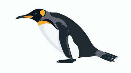Penguin flat vector illustration. Arctic bird