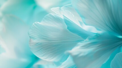 Floral  turquoise background  Flower petals closeup Nature : Generative AI