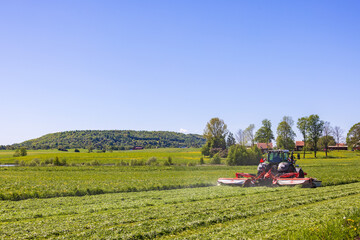 Tractor that harvest grass in a beautiful summer landscape