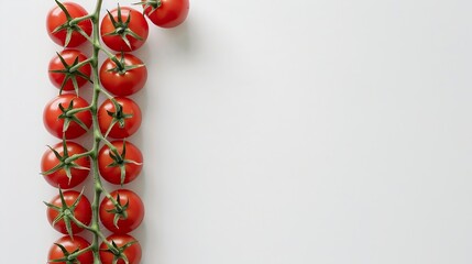 Flat lay composition with vine of ripe red tomatoes on white background : Generative AI