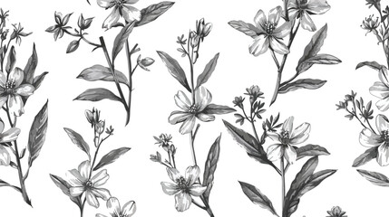 Seamless pattern with St. Johns wort medical botanica - obrazy, fototapety, plakaty