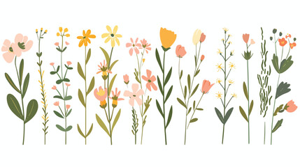Spring flower stems. Field floral plants. Summer wild - obrazy, fototapety, plakaty