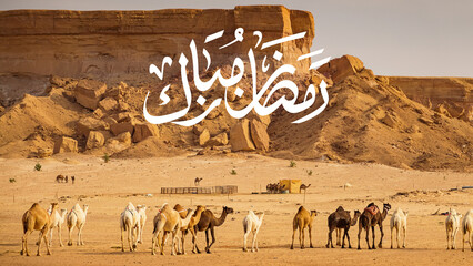 wallpaper 4k dusk with camel ramadan mubarak.