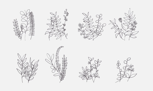 線画。線画タッチの草木ベクターイラストセット。草木の線画イラスト。Line drawing. Grass and trees vector illustration set with line drawing touch. Line drawing illustration of plants and trees.